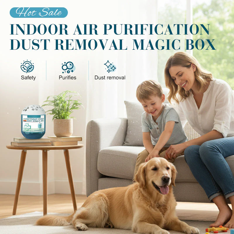🌼Limited-Time Pre-Sale⏰Indoor Air Purification Dust Removal Magic Box🏠🌿